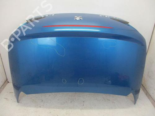 Used Tailgate PEUGEOT 307 CC (3B) 2.0 16V (136 hp) 18797897