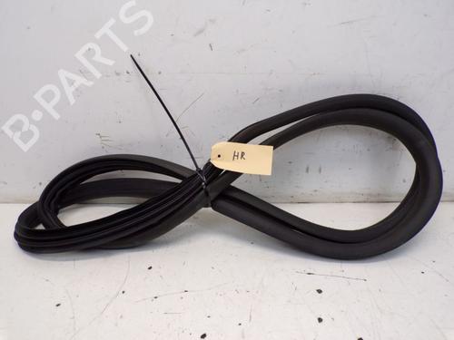 Rubber door seal SKODA ROOMSTER (5J7) 1.4 | BP29096474C142 