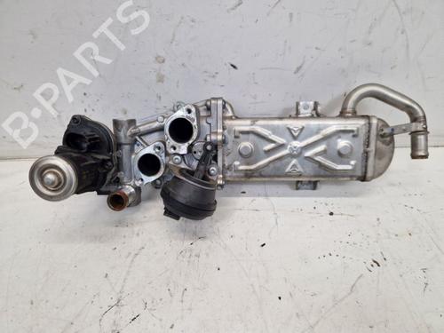 Køler VW CADDY III Box Body/MPV (2KA, 2KH, 2CA, 2CH) 1.6 TDI (75 hp) 31702374