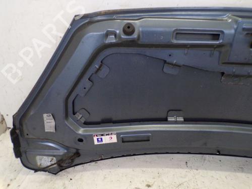Hood PEUGEOT 1007 (KM_) 1.4 | BP29087472C1 