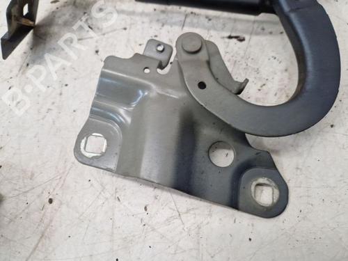 Hinge/Door check strap RENAULT ZOE (BFM_) ZOE (BFMD) | BP29105944C146 