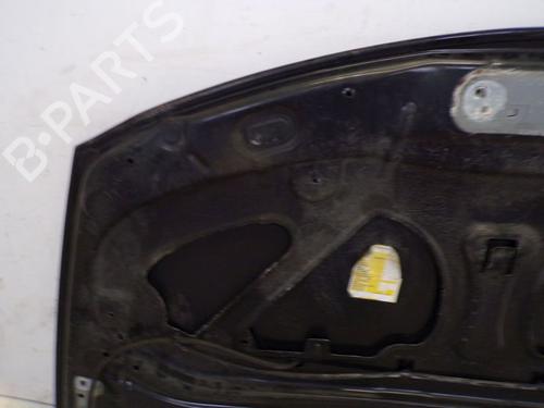 Hood RENAULT CLIO III (BR0/1, CR0/1) 1.2 16V (BR02, BR0J, BR11, CR02, CR0J, CR11) | BP29085813C1 