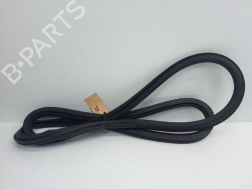 Gummiliste Gummiliste VW POLO V (6R1, 6C1) 1.2 (70 hp) 37138651 37138651