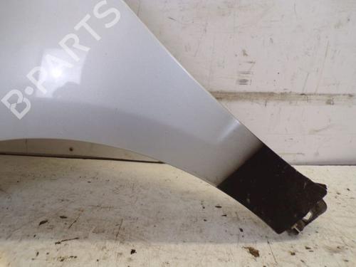 Left front fenders MERCEDES-BENZ A-CLASS (W169) A 160 CDI (169.006, 169.306) | BP29090935C41 