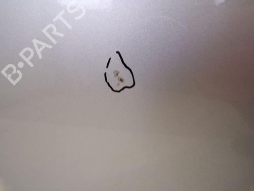 Right front door MERCEDES-BENZ C-CLASS T-Model (S203) C 200 Kompressor (203.242) | BP29092683C3 