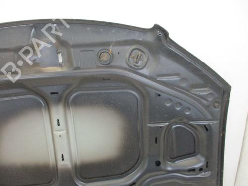 Capot AUDI A8 D3 (4E2, 4E8) 4.0 TDI quattro | BP18795023C1 