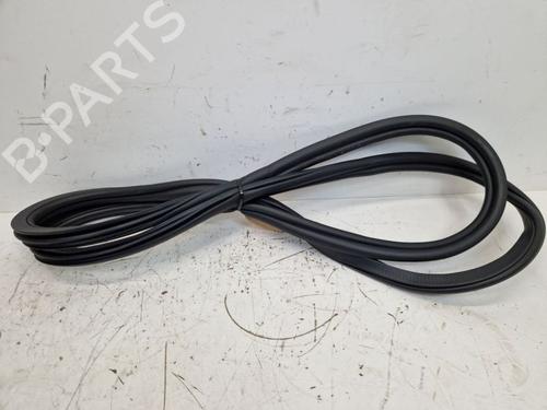 Used Rubber door seal BMW X5 (G05, F95) xDrive 40 i Mild-Hybrid (381 hp) 29108993