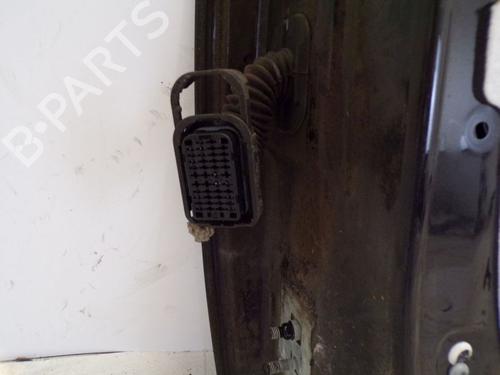 Right front door RENAULT CLIO III (BR0/1, CR0/1) 1.2 16V (BR02, BR0J, BR11, CR02, CR0J, CR11) | BP29095380C3 