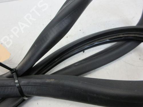 Gummiliste RENAULT ZOE (BFM_) ZOE | BP29098639C142 