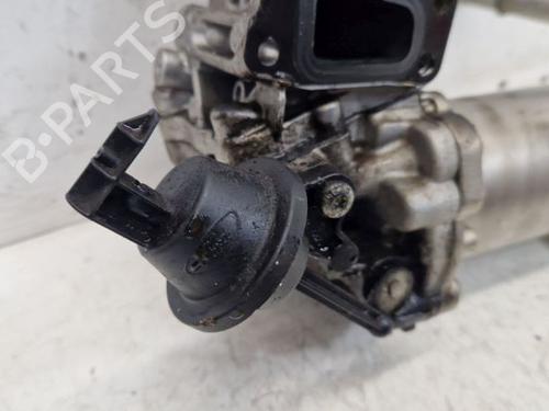 Water radiator FORD TRANSIT V363 Van (FCD, FDD) 2.0 EcoBlue | BP30439844M31 