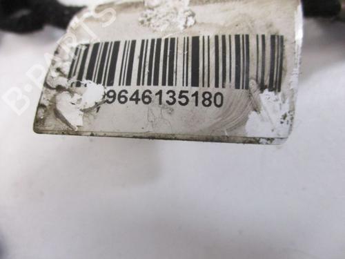 Wiring harness CITROËN C4 Coupe (LA_) 1.4 16V | BP30667601E16 