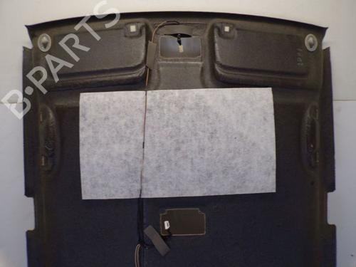 Interiør taket SUZUKI SX4 (EY, GY) 1.9 DDiS (RW419D) | BP21138215I12 