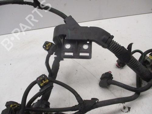 Wiring harness OPEL VECTRA C Estate (Z02) 1.9 CDTI (F35) | BP24133450E16 