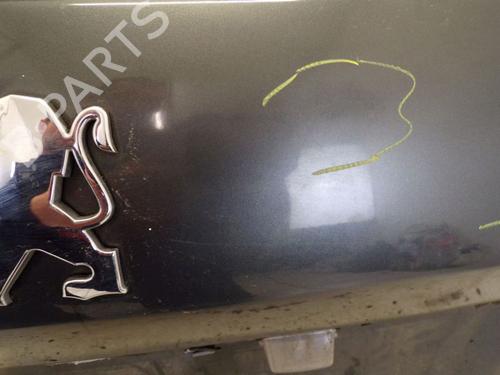 Tailgate PEUGEOT 308 SW I (4E_, 4H_) 1.6 HDi | BP29095702C6 