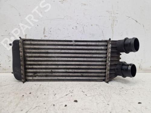 Used Intercooler CITROËN JUMPY II Van 1.6 HDi 90 16V (90 hp) 30668964