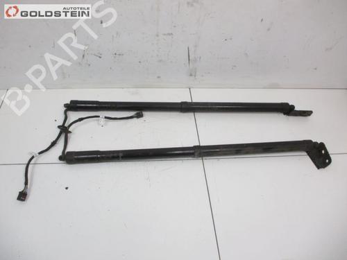 Tailgate lift support FORD GRAND C-MAX (DXA/CB7, DXA/CEU) 1.6 TDCi AM51U404C84AJ | AM51U404C85AJ