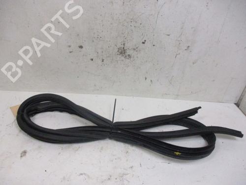 rubber-door-seal-dacia-sandero-2008-37115562 main image