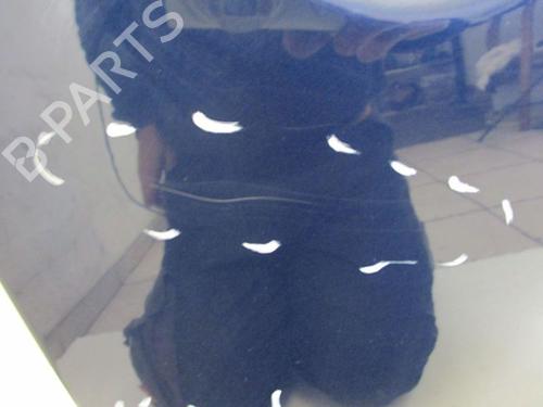 Drzwi przednie prawe VW NEW BEETLE (9C1, 1C1) 1.4 | BP26647588C3