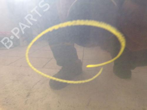 Left front door DACIA SANDERO 1.4 (BS0C, BS0A, BS0G, BS1F, BS0E) | BP29086181C2