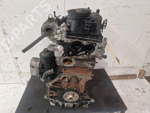 Engine SKODA OCTAVIA II Combi (1Z5) 1.6 TDI 4x4 | BP38639316M1  - Image 10