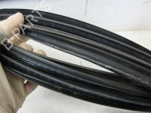 Rubber door seal RENAULT GRAND SCÉNIC III (JZ0/1_) 1.4 16V (JZ0F) | BP29094727C142 