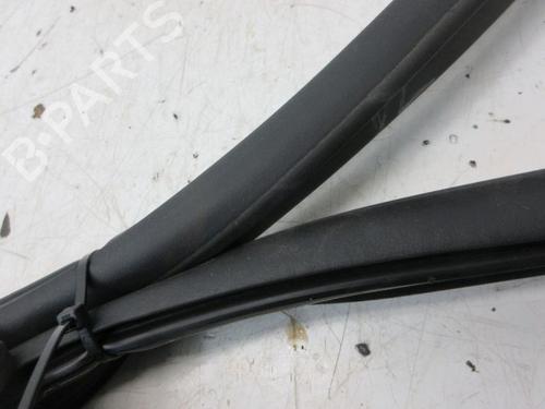 Gummiliste RENAULT ZOE (BFM_) ZOE | BP29099250C142 