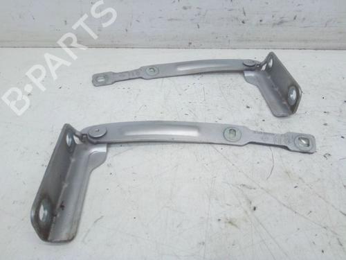 Hinge/Door check strap DACIA LODGY (JS_) 1.5 dCi (JSMC, JSAF) | BP30358690C146