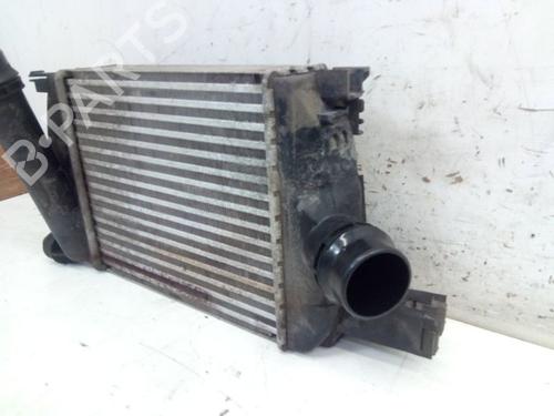 Intercooler DACIA DOKKER Box Body/MPV 1.2 TCe 115 (FEAY) | BP37138295M30 - Image 3