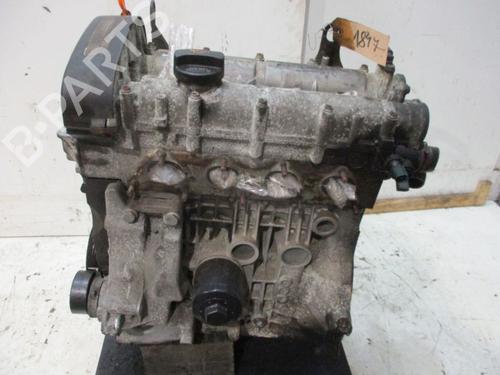 Engine SKODA FABIA II (542) 1.4 | BP29091111M1 