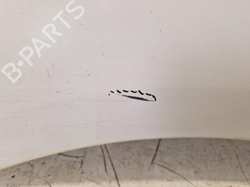 Left front fenders RENAULT TRAFIC II Van (FL) 2.0 dCi 115 (FL01, FL0U, FL00, FL0H, FL0M) | BP29101896C41 