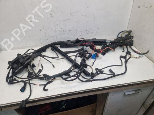 Wiring harness BMW X5 (E70) xDrive 30 i | BP25473540E16 