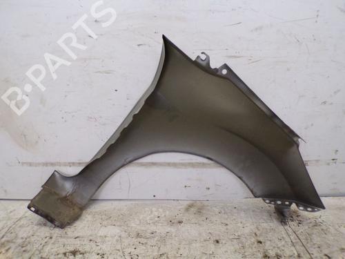Left front fenders FORD FIESTA VI (CB1, CCN) 1.6 Ti | BP28174255C41 
