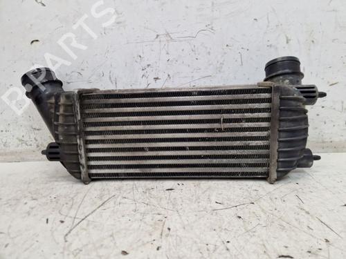 Intercooler FIAT SCUDO Bus (270_, 272_) 2.0 D Multijet | BP29106555M30 