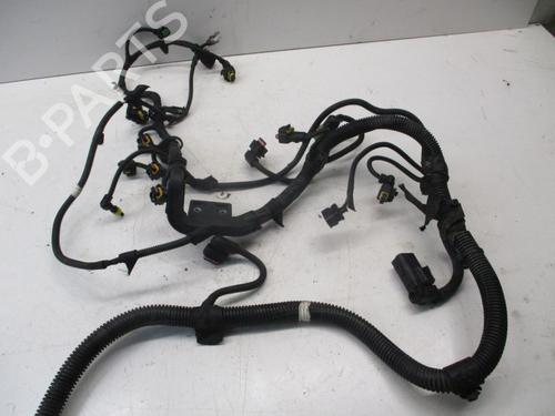 Wiring harness OPEL VECTRA C Estate (Z02) 1.9 CDTI (F35) | BP24133450E16 