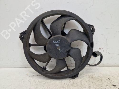 Used Fan PEUGEOT EXPERT Van (VF3A_, VF3U_, VF3X_) 1.6 HDi 90 8V (90 hp) 29099987