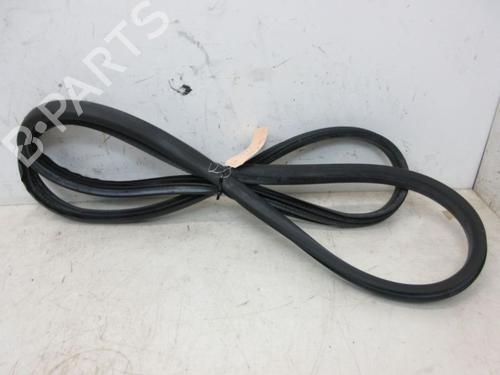 Rubber door seal RENAULT GRAND SCÉNIC III (JZ0/1_) 1.4 16V (JZ0F) | BP19299868C142 