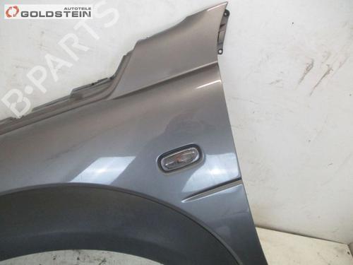 Left front fenders LAND ROVER FREELANDER I (L314) 2.0 Td4 4x4 | BP18749955C41 