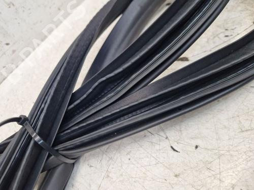 Rubber door seal RENAULT MEGANE E-TECH SUV EV60 (BNJ1) | BP29100786C142 