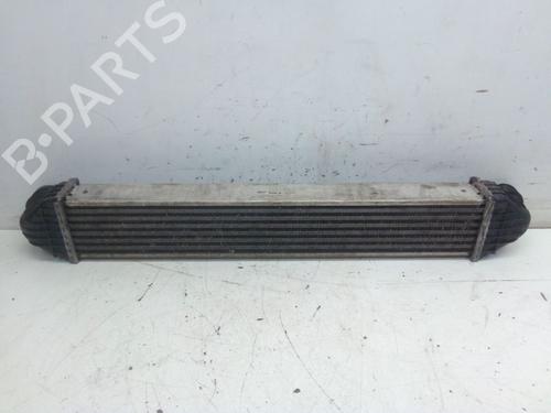 Intercooler MERCEDES-BENZ B-CLASS Sports Tourer (W245) B 200 CDI (245.208) | BP25791174M30 