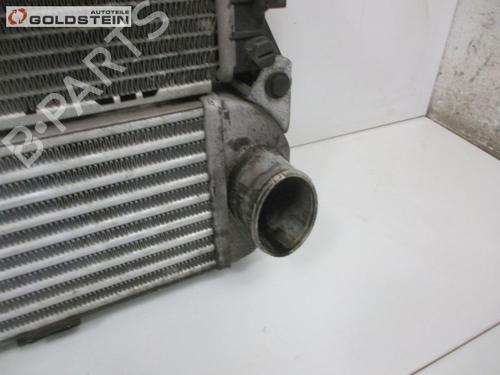 Water radiator LAND ROVER RANGE ROVER SPORT I (L320) 2.7 D 4x4 | BP18760899M31 