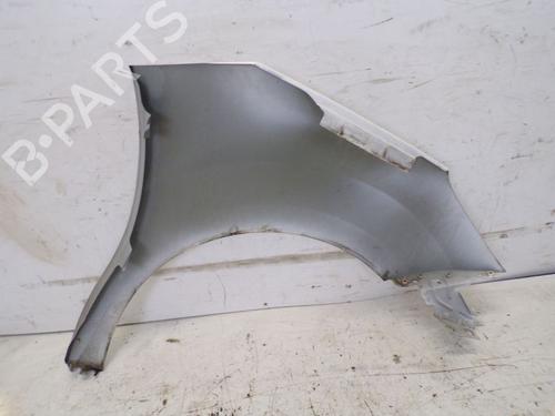 Left front fenders CITROËN C3 II (SC_) 1.0 VTi 68 | BP30668176C41 