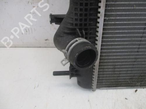 Water radiator RENAULT GRAND SCÉNIC III (JZ0/1_) 2.0 dCi (JZ0Y, JZ26) | BP29089403M31 