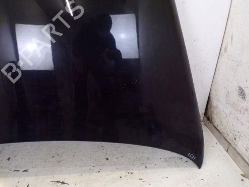 Hood VW TOUAREG (7LA, 7L6, 7L7) 3.2 V6 | BP19295310C1 