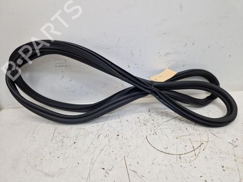 Used Rubber door seal BMW X5 (G05, F95) xDrive 40 i Mild-Hybrid (381 hp) 29108994