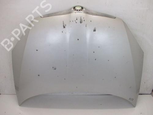 Used Hood SKODA ROOMSTER (5J7) 1.9 TDI (105 hp) 18792386