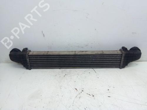 Intercooler MERCEDES-BENZ E-CLASS T-Model (S211) E 220 T CDI (211.206) | BP30358748M30 