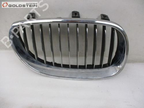 Used Grille BMW 5 Touring (E61) 530 d (231 hp) 18756375