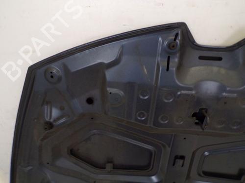 Hood RENAULT CLIO IV (BH_) 1.2 TCe 120 (BHM0) | BP29083665C1 