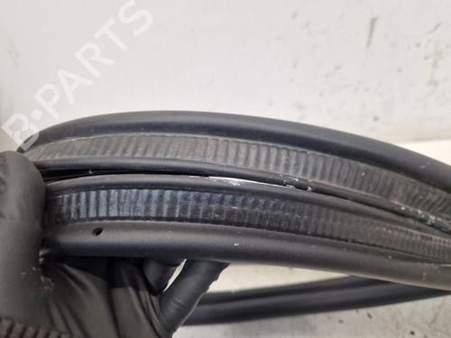 Rubber door seal RENAULT MEGANE E-TECH SUV EV60 (BNJ1) | BP29100783C142 