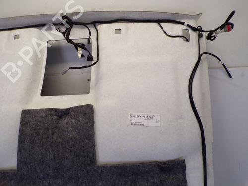 Interior roof FORD FIESTA VII (HJ, HF) 1.5 ST EcoBoost | BP29098328I12 